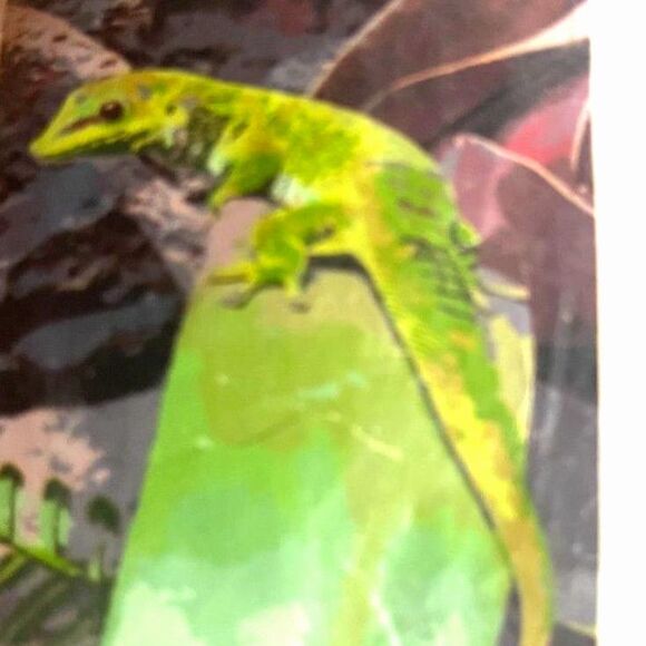 Paint by Numbers Kit for Adults Green Anole Lizard Paint by Number 18x21 X001428 - Picture 1 of 6